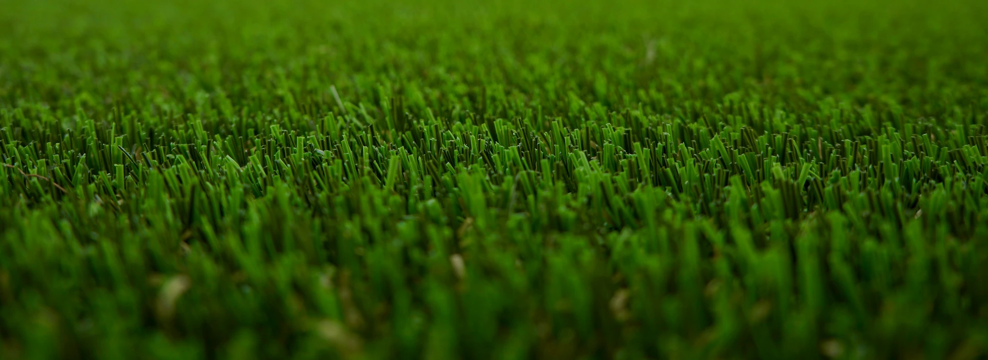 background_totnatura_3