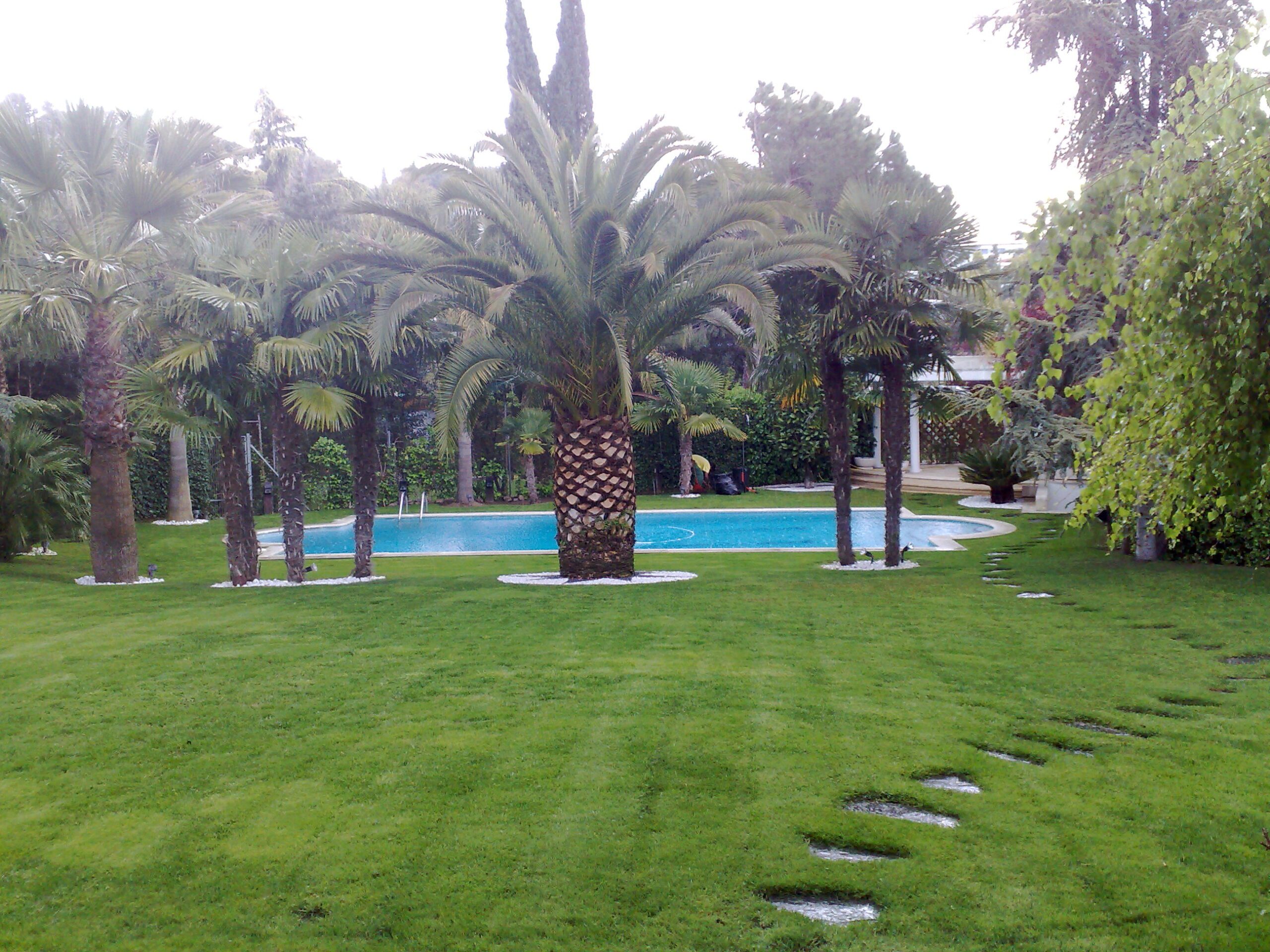jardineria_mantenimientos_10